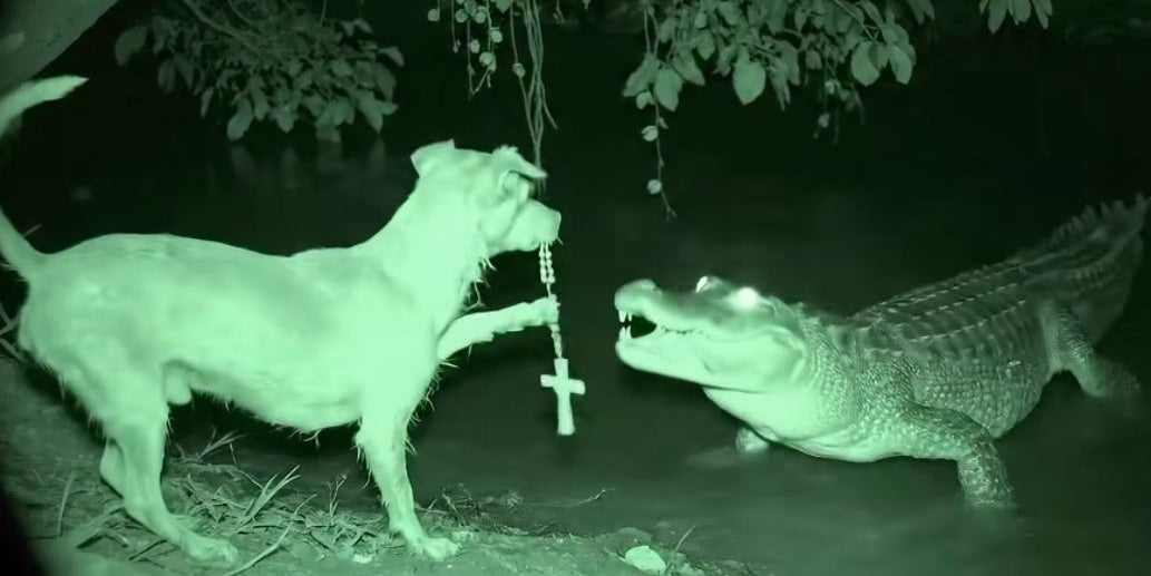 <p>Two Expressions. One Standard.</p>